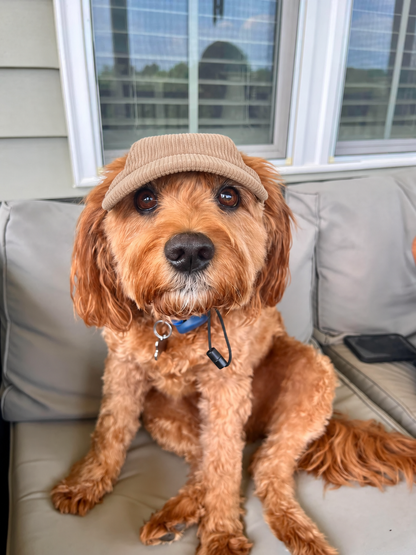 The Hairy Dog Corduroy Cap™