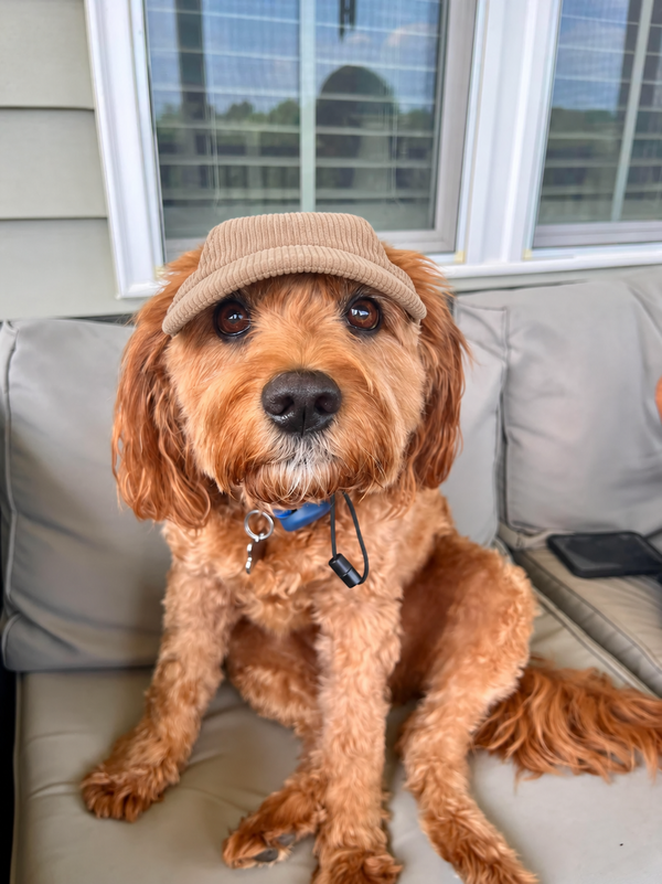 The Hairy Dog Corduroy Cap™