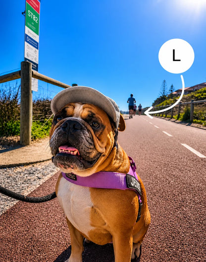 The Hairy Dog Corduroy Cap™