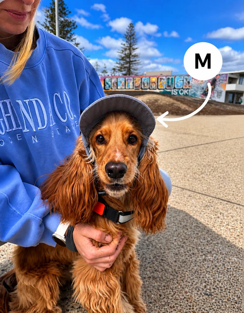 The Hairy Dog Corduroy Cap™