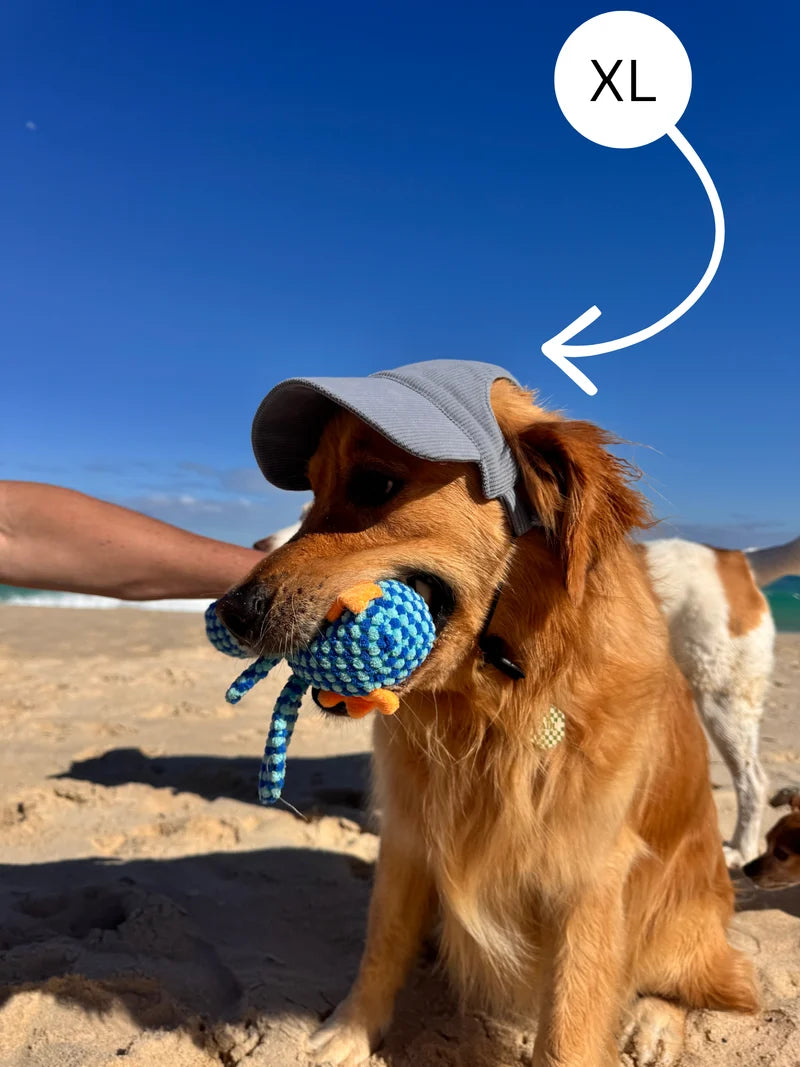 The Hairy Dog Corduroy Cap™