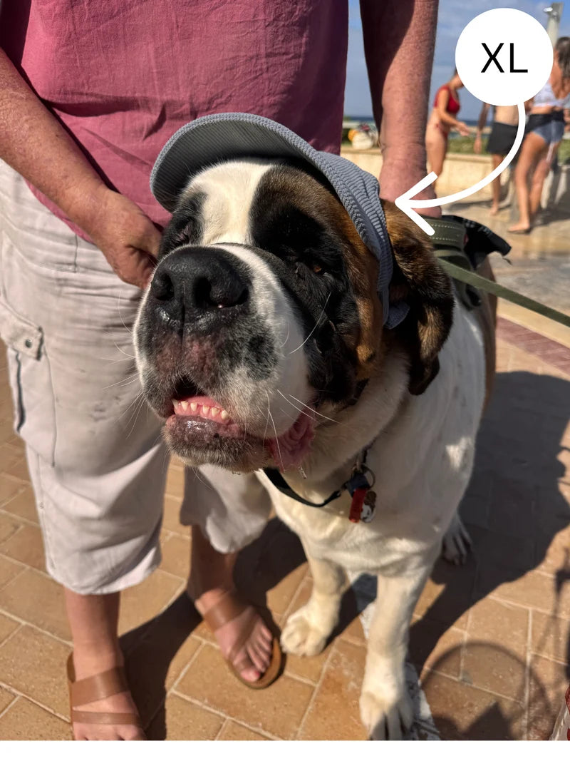 The Hairy Dog Corduroy Cap™