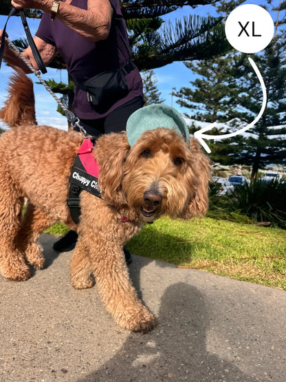 The Hairy Dog Corduroy Cap™