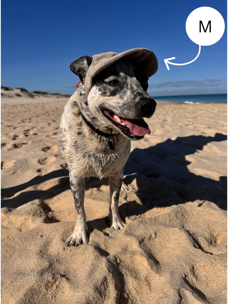 The Hairy Dog Corduroy Cap™
