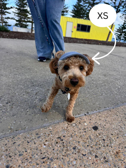 The Hairy Dog Corduroy Cap™